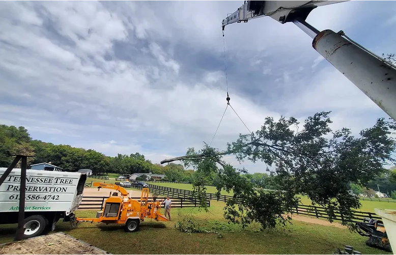 Land and Lot Clearing | TN Tree Preservation 15 Crane-assisted tree removal service in Franklin TN by TN Tree Preservation crew