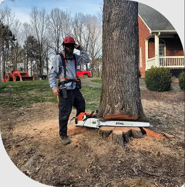 Land and Lot Clearing | TN Tree Preservation 23 Arborist with chainsaw and tree notch